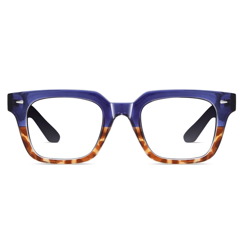 عینک محافظ چشم آلبرت وگ مدل S31105C4-1 Acetate Blue Control