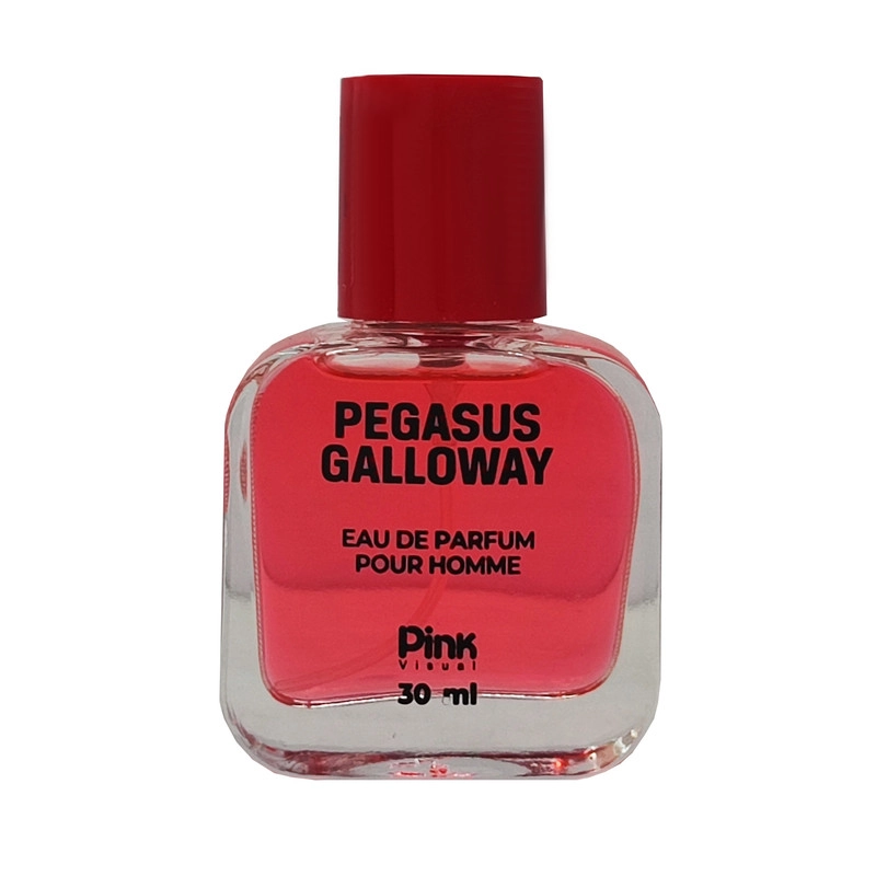 عطر جیبی مردانه پینک ویژوال مدل Pegasus Galloway حجم 30 میلی لیتر