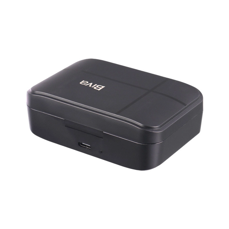 ست میکروفن بی سیم بیوا مدل WM-04