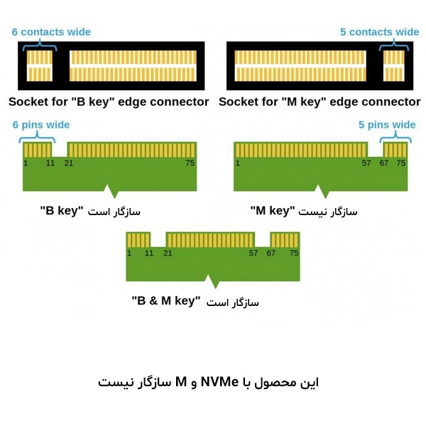 باکس اس اس دی باسئوس مدل CAYPH-D0G