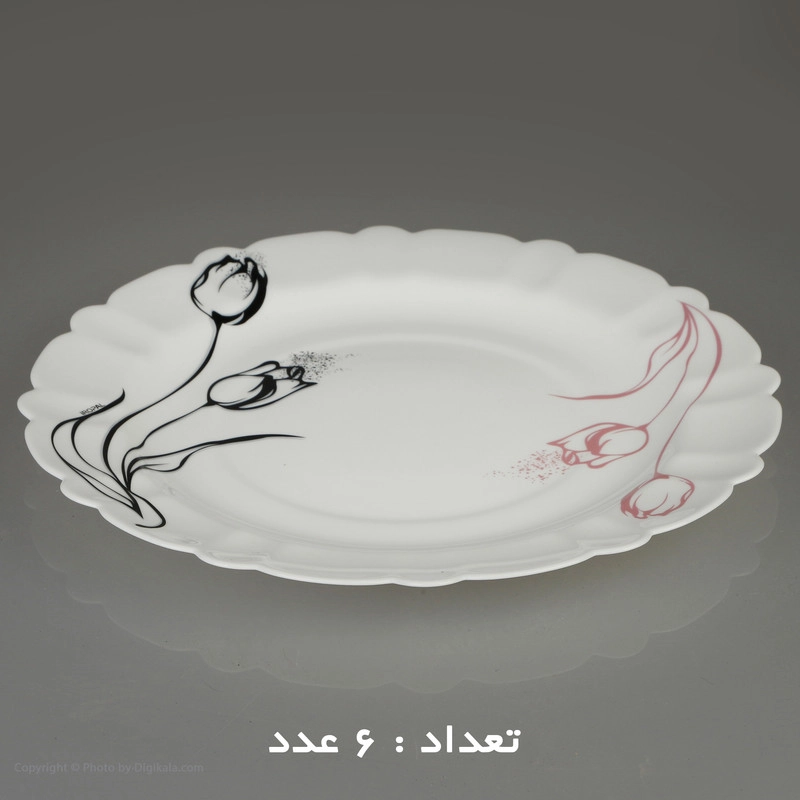 سرویس غذا خوری 25 پارچه آیروپال طرح کنگره مدل آرام