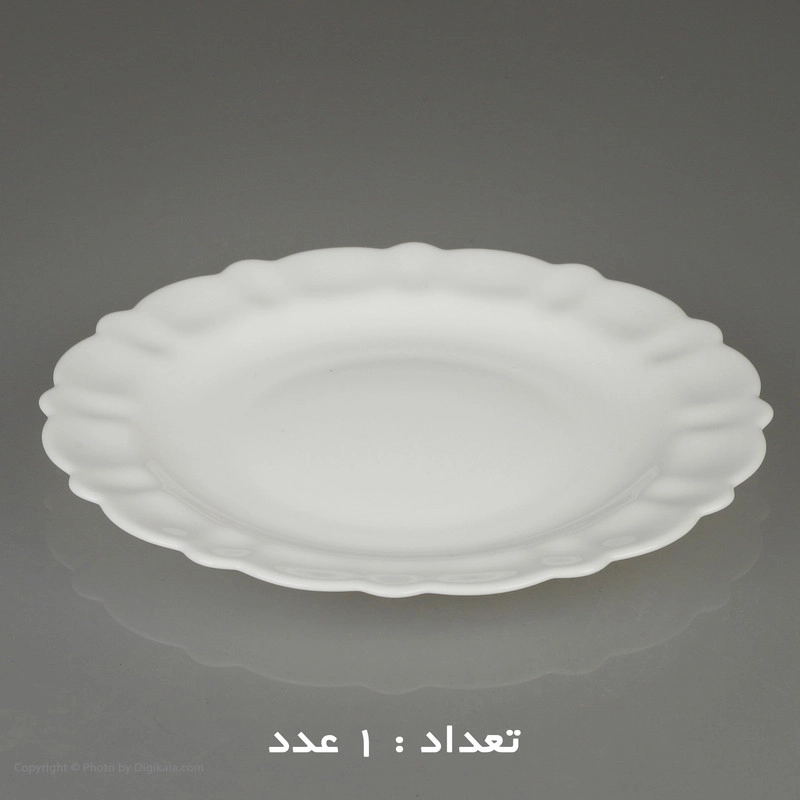 سرویس غذا خوری 25 پارچه آیروپال طرح کنگره مدل آرام