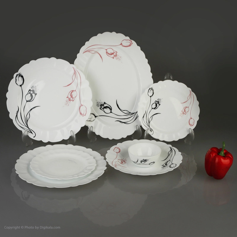 سرویس غذا خوری 25 پارچه آیروپال طرح کنگره مدل آرام