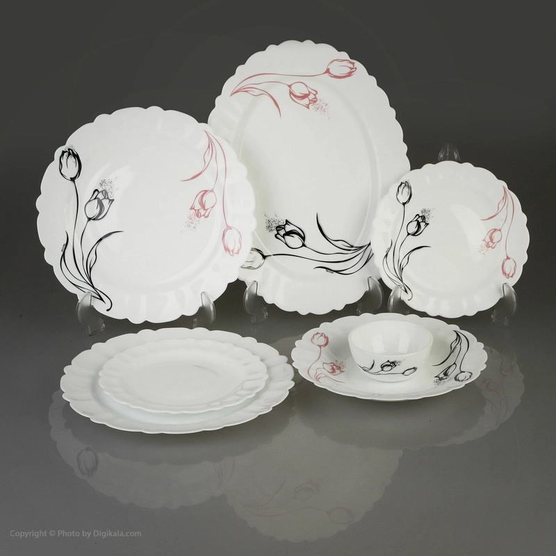سرویس غذا خوری 25 پارچه آیروپال طرح کنگره مدل آرام