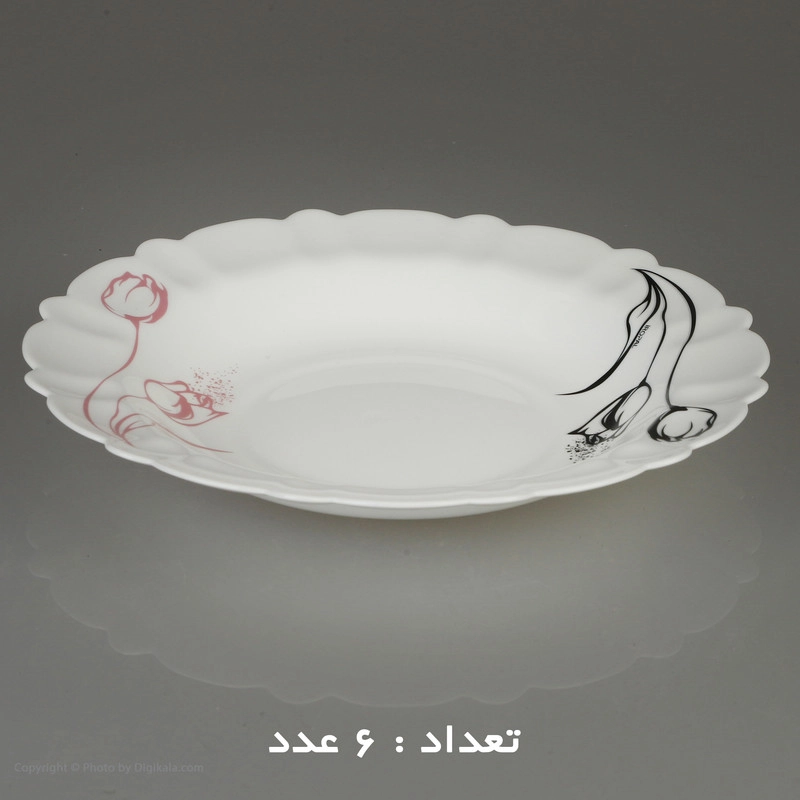 سرویس غذا خوری 25 پارچه آیروپال طرح کنگره مدل آرام