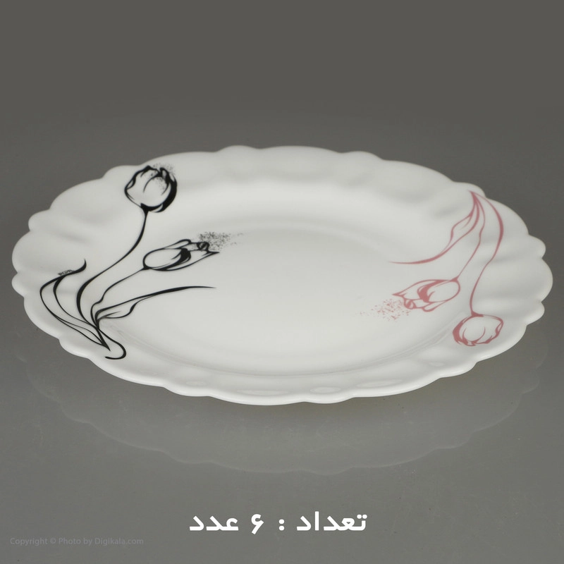 سرویس غذا خوری 25 پارچه آیروپال طرح کنگره مدل آرام