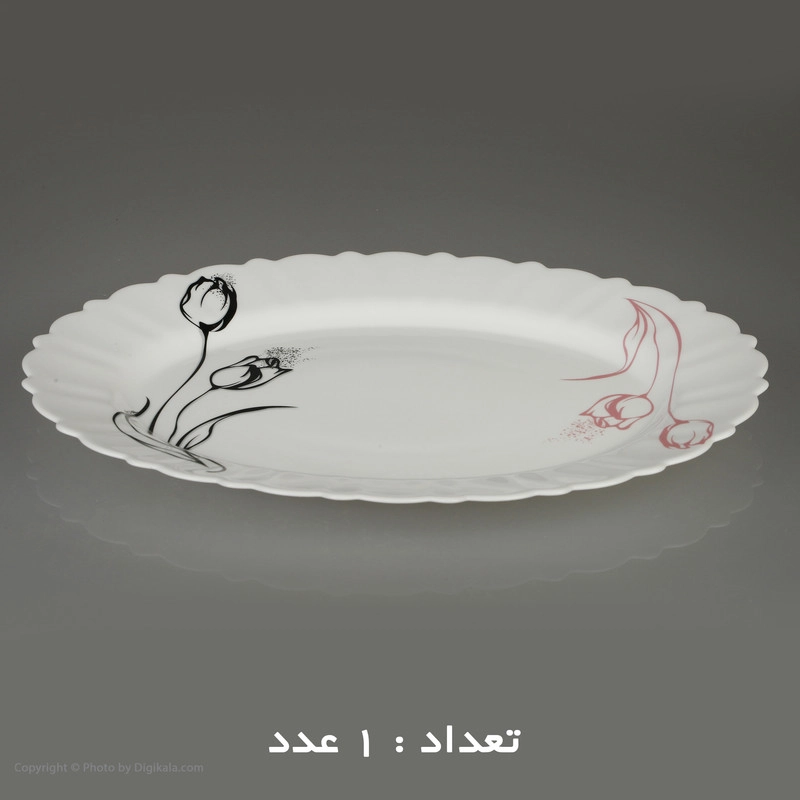 سرویس غذا خوری 25 پارچه آیروپال طرح کنگره مدل آرام