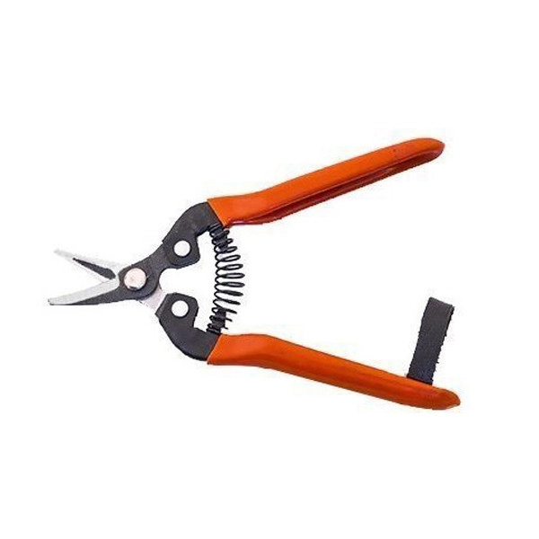 قیچی میوه چینی لایت کد STRV0049